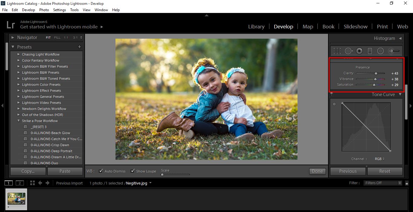 Lightroom dual tone photo editing tutorial 