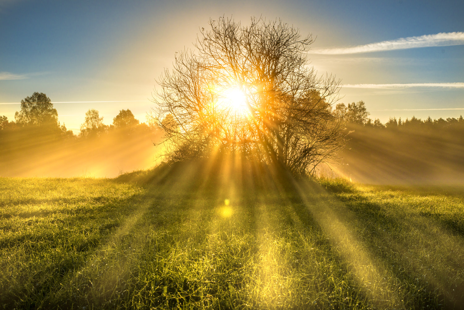 Rays Of Light Photoshop