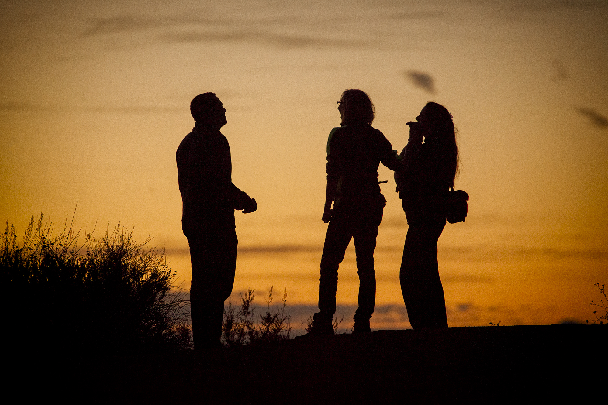 The Local Angle: Learning How to Photograph Your Neighborhood