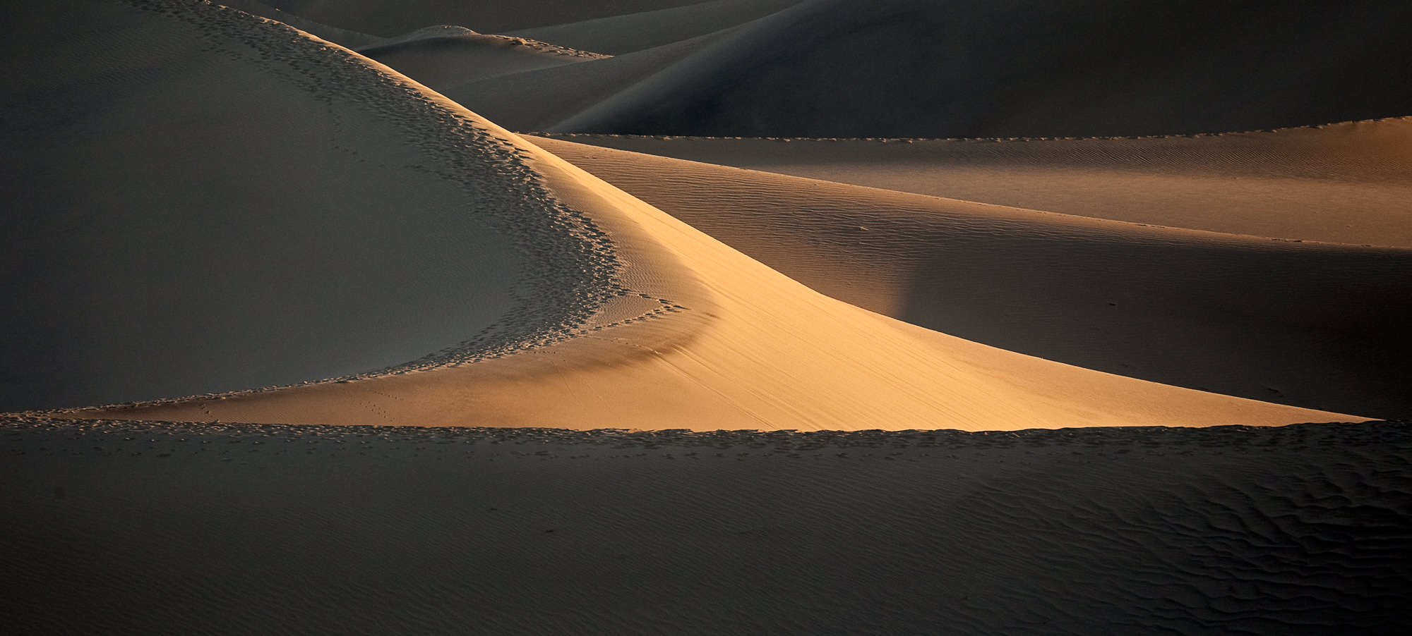 Early morning light brings out the curving lines in the dunes.