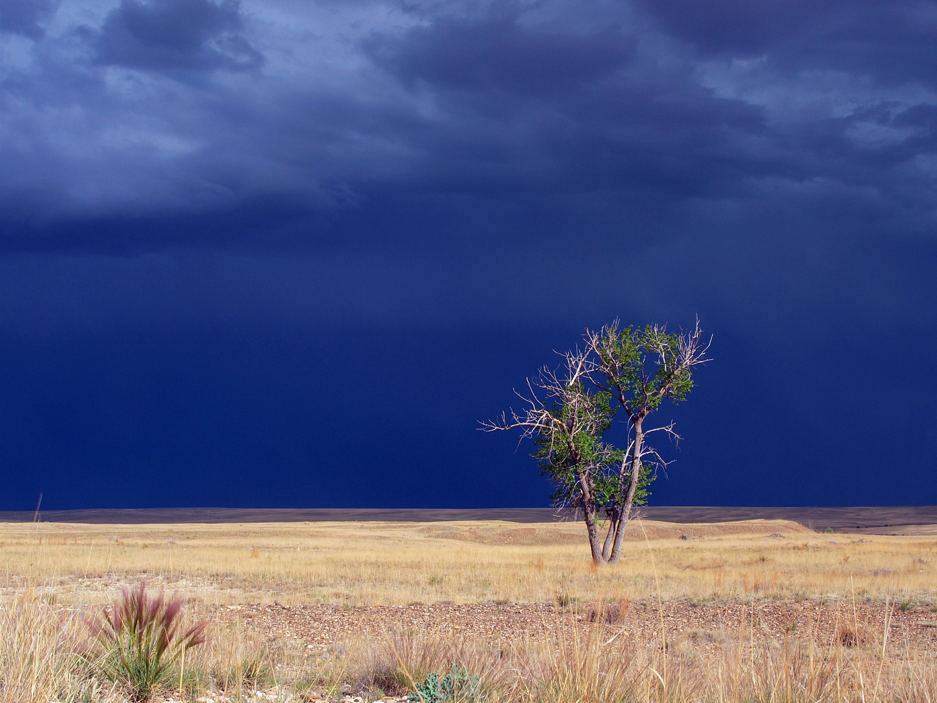 How to Perform a Convincing Sky Replacement in Adobe Photoshop