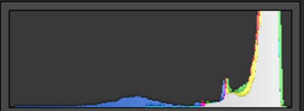 histogram-egg-white