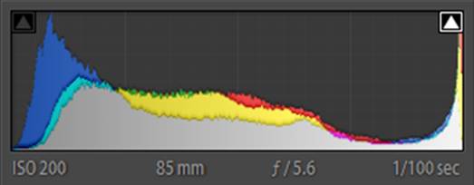 Histogram