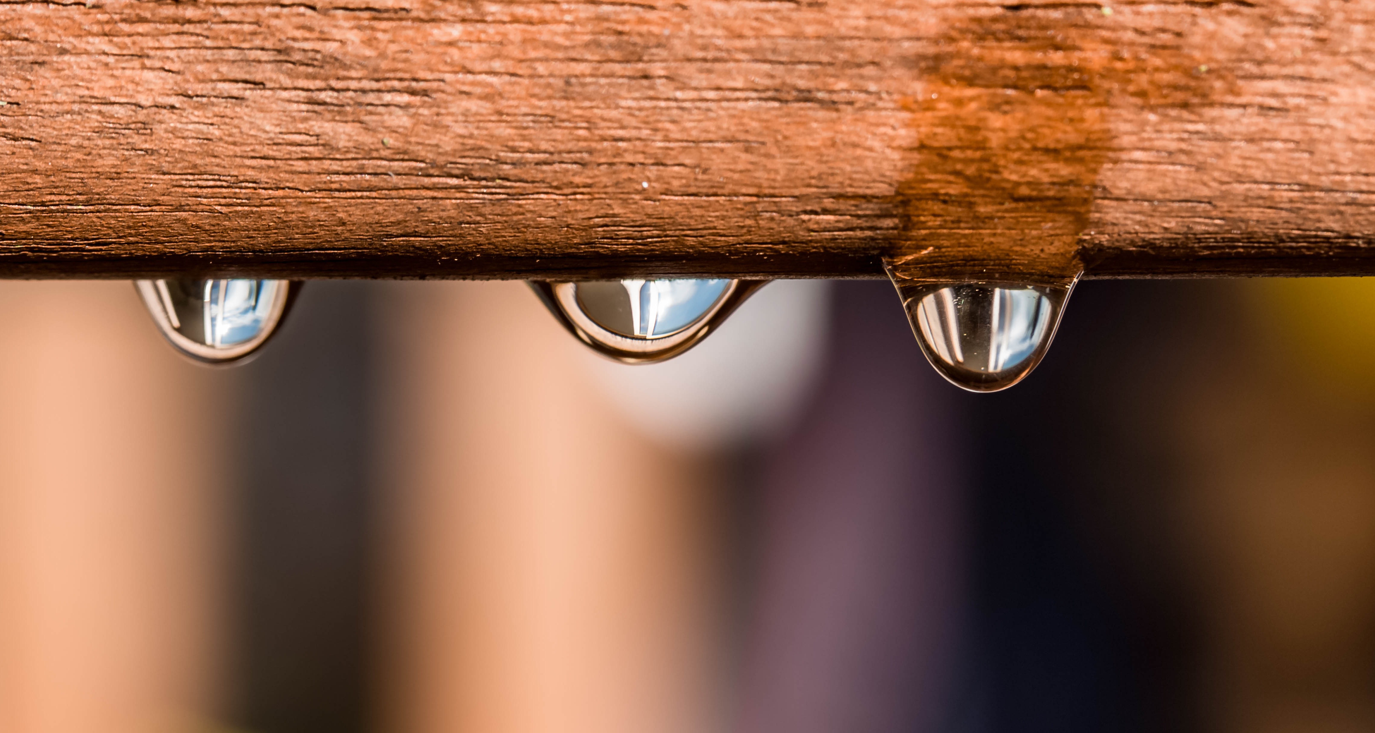 Photo ideas: Water drops