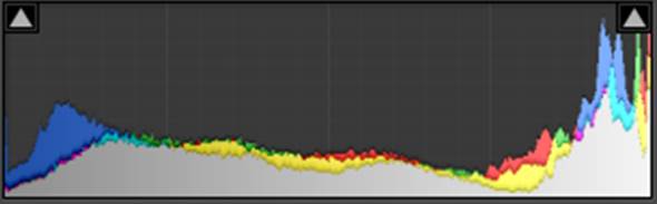 Histogram