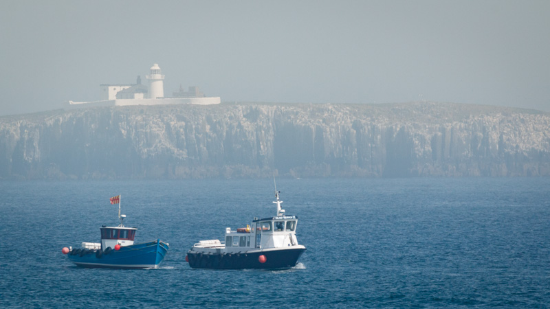 farne glad tidings