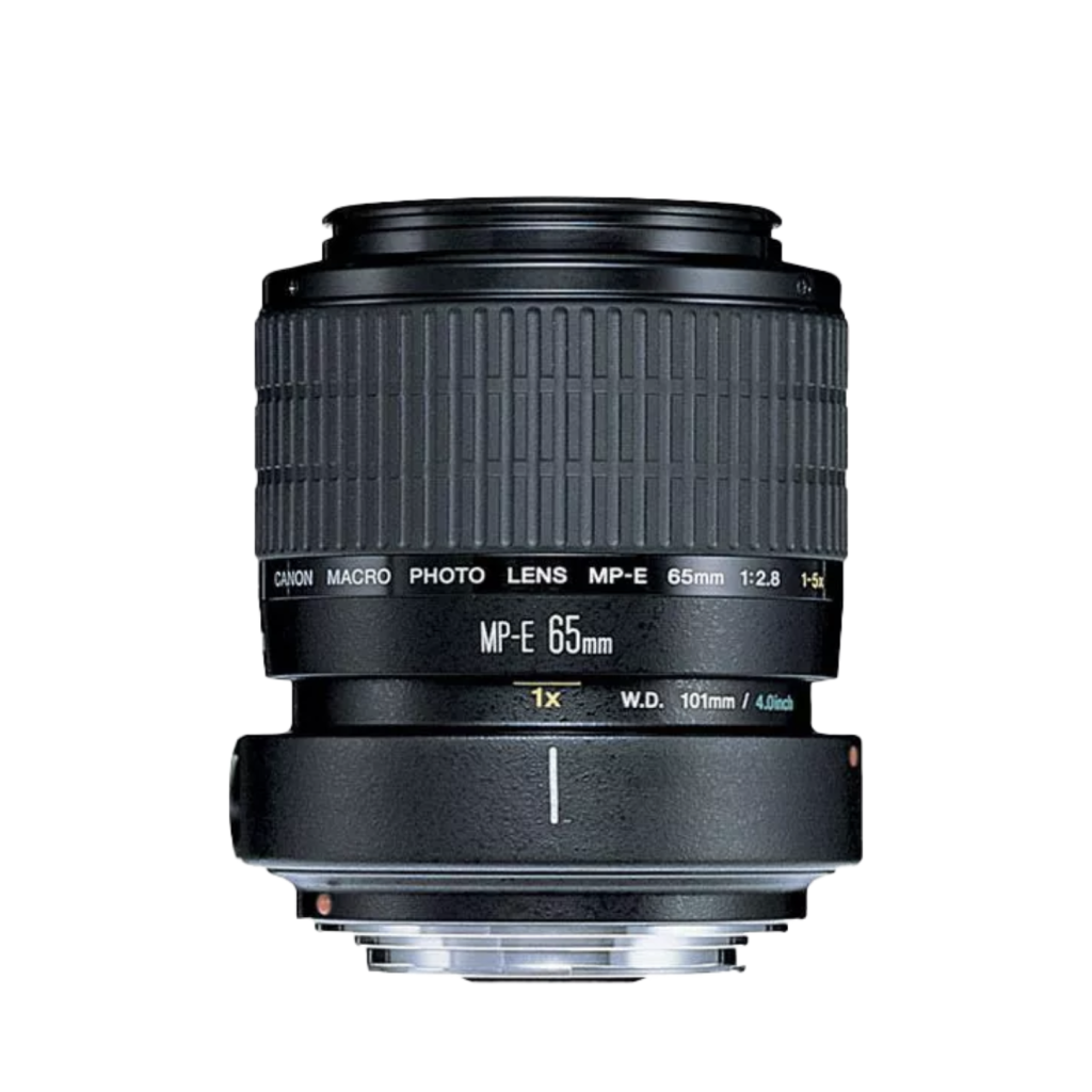 Canon MP-E Macro Lens