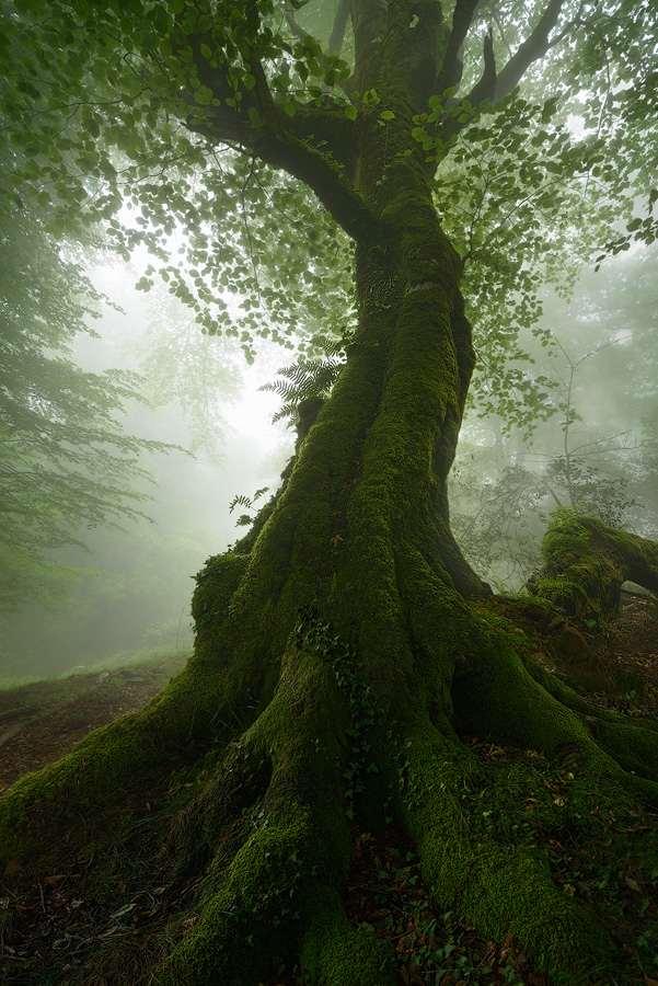 Photographer Spotlight: Italian Landscapes with Enrico Fossati