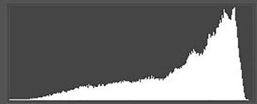 ETTR Histogram