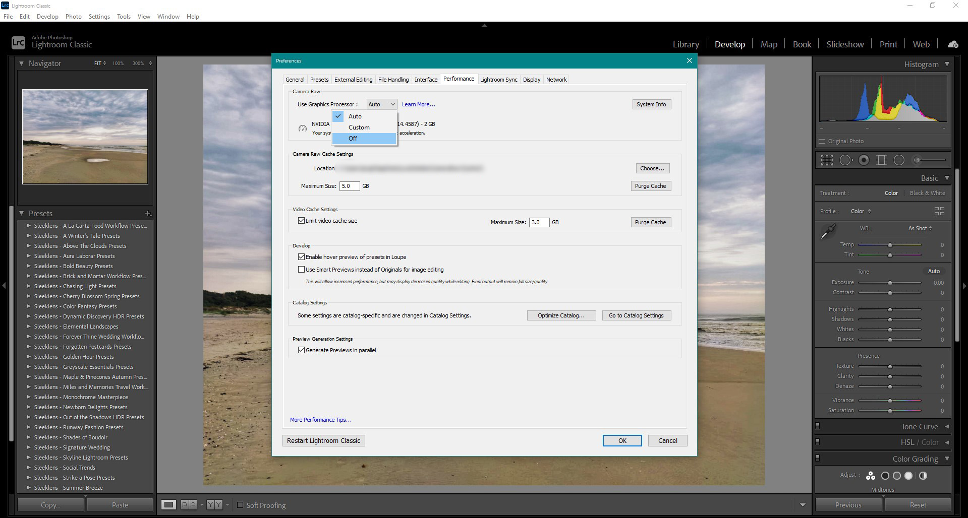 lightroom cc classic windows turn off gpu