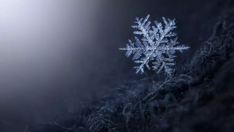  Macro  photography  in Winter How to photograph Snowflakes