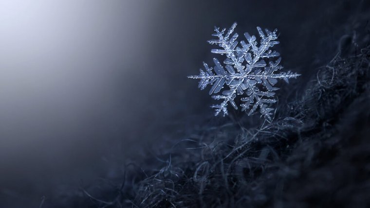 macro snowflake photography wallpaper