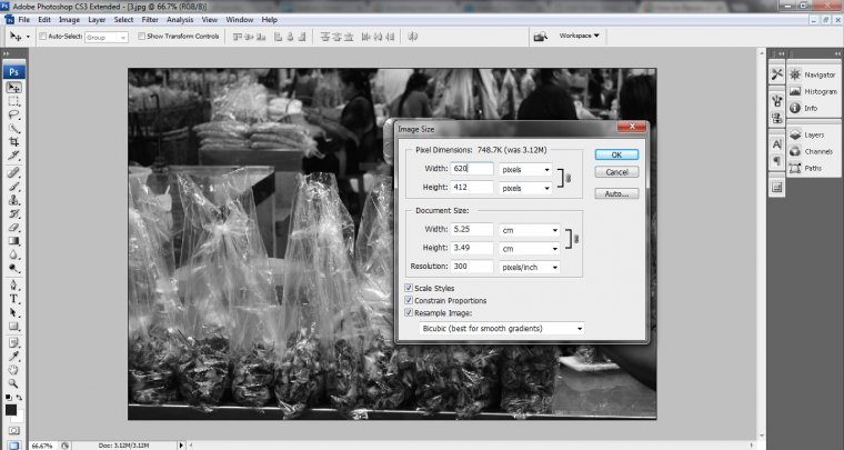 batch resize in adobe bridge