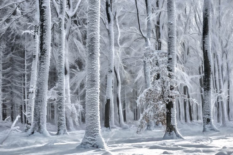 Photographer Spotlight Interview With Lars Van De Goor