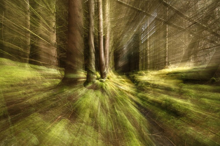 Tips to Broaden Your Creativity into ICM Photography