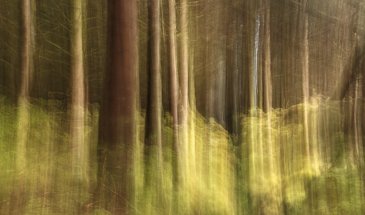 Top Shooting Techniques and Methodology in ICM Photography