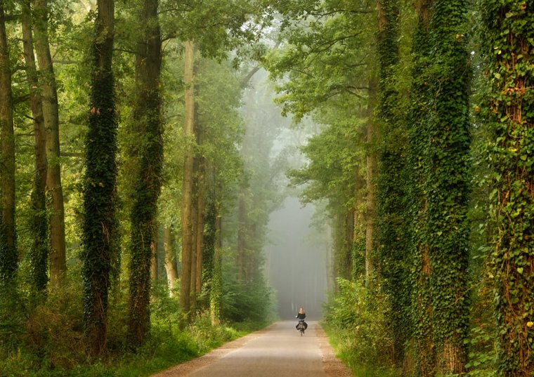 Photographer Spotlight Interview With Lars Van De Goor