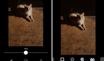 5  Best Photo Apps for Android and iOS