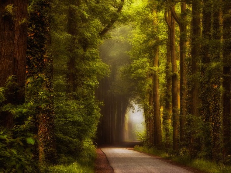 Photographer Spotlight Interview With Lars Van De Goor