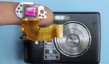 How does a CCD Sensor Work in Digital Cameras