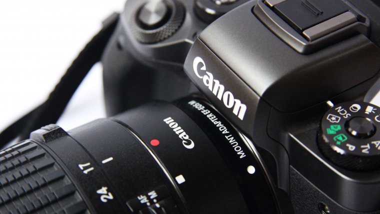 Canon 7d Mark Ii Review A Photographer S Lifelong Companion