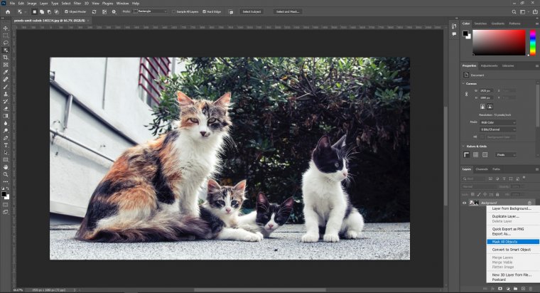 Adobe Photoshop Selection and Masking Master Course 2022