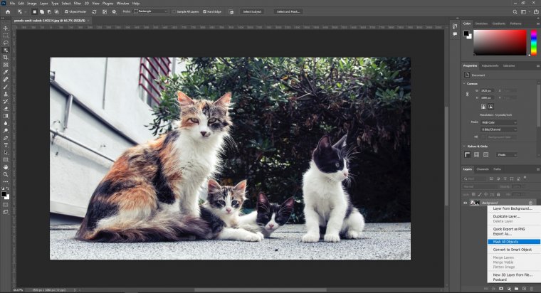 What's new in Photoshop CC 2022?