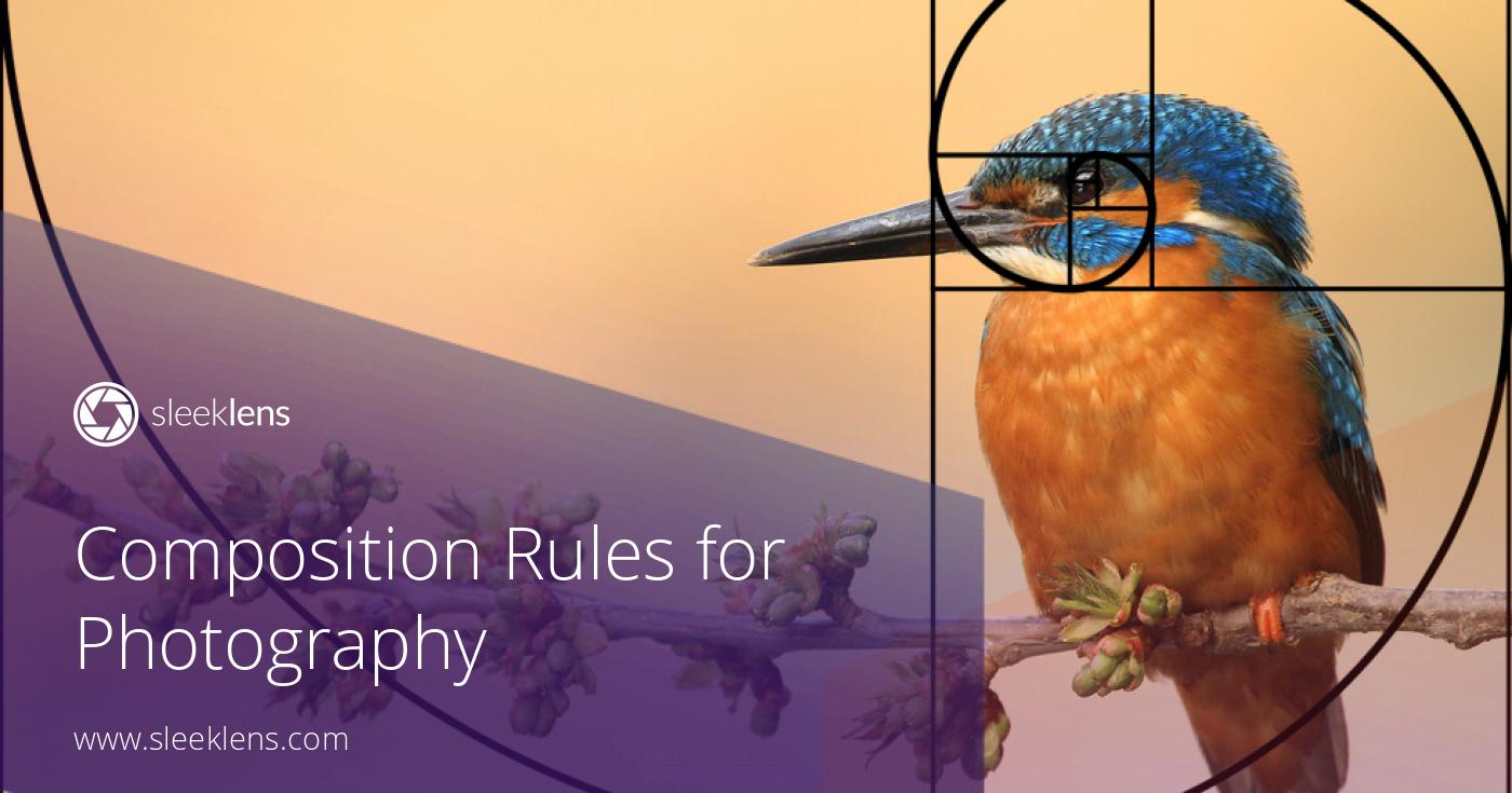  Photography Composition Rules  A Compendium of Techniques