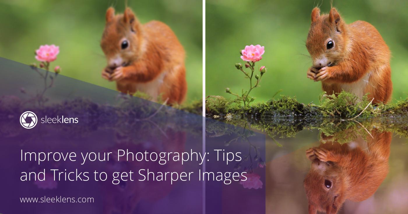 Improve your Photography: Tips and Tricks to get Sharper Images