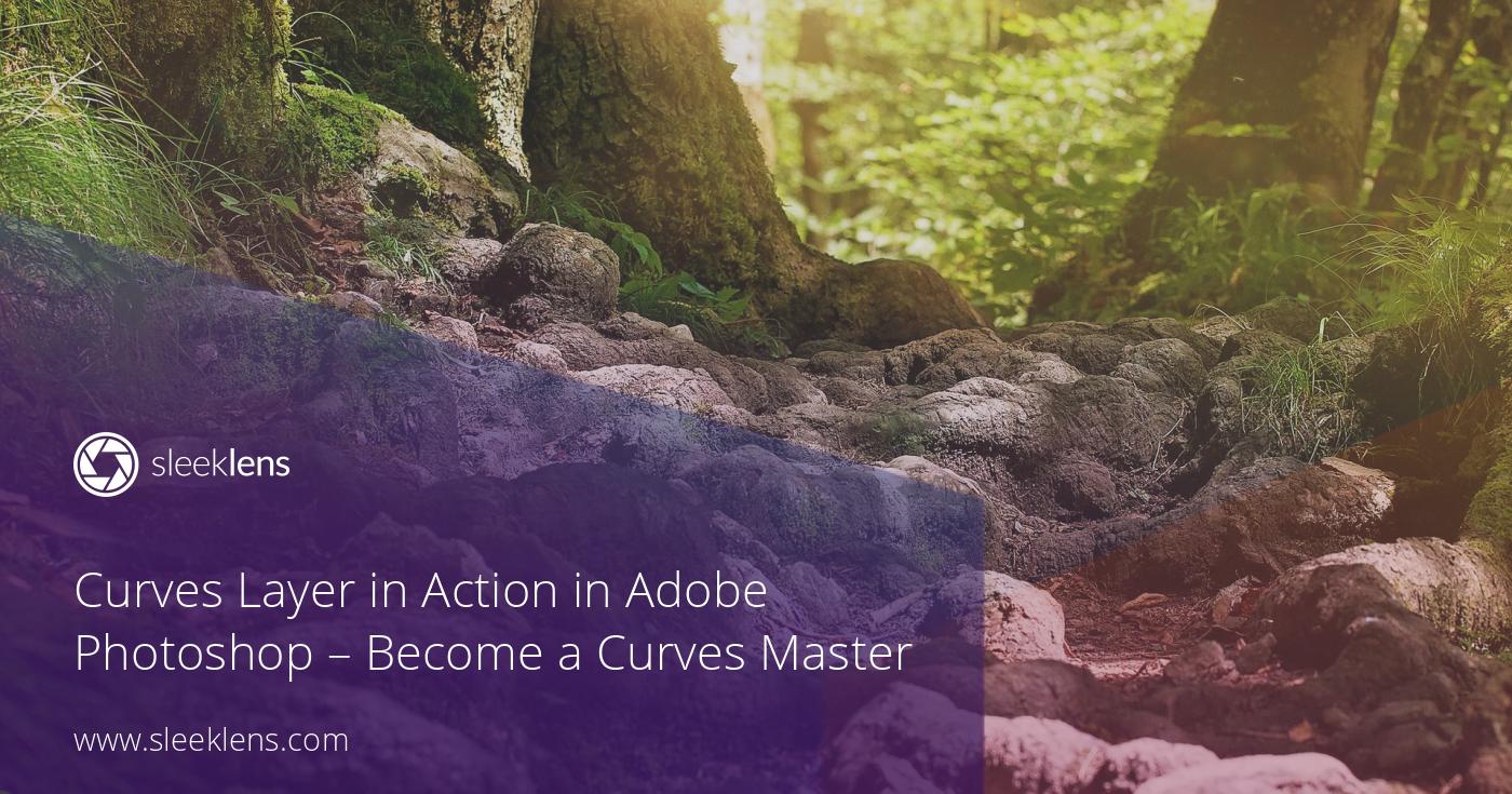 Curves Layer in Action in Photoshop - Become a Curves Master
