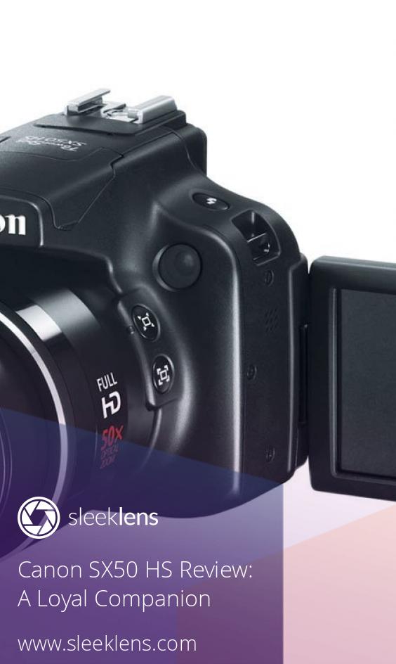 Canon SX50 HS Camera Review A Photographer